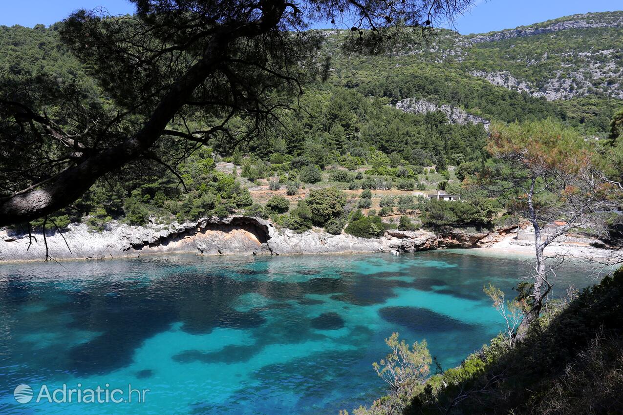 Bačva på otoku Korčula (Južna Dalmacija)