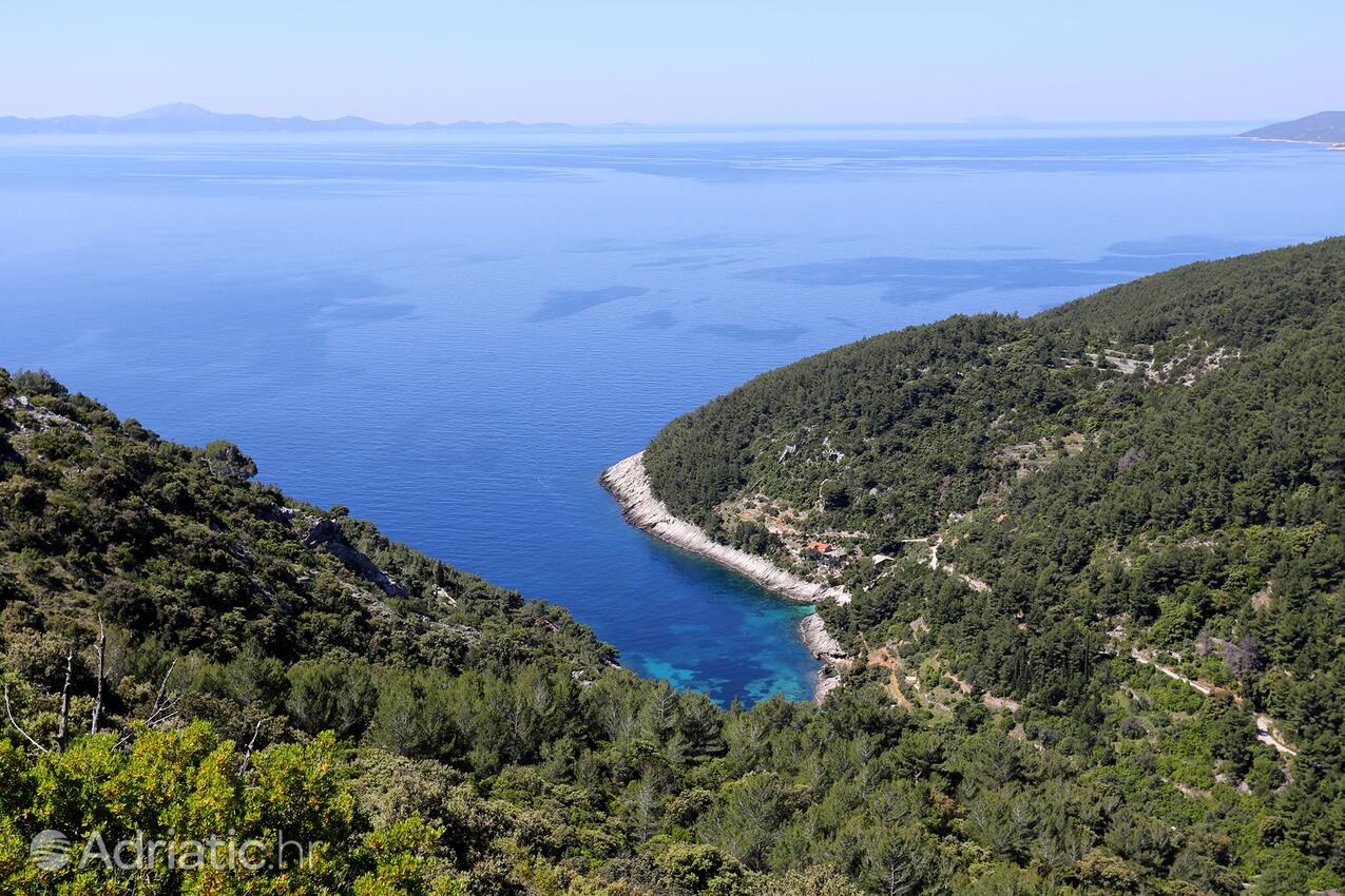 Bačva på otoku Korčula (Južna Dalmacija)