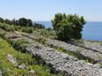 Smrč on the island Korčula (Južna Dalmacija)