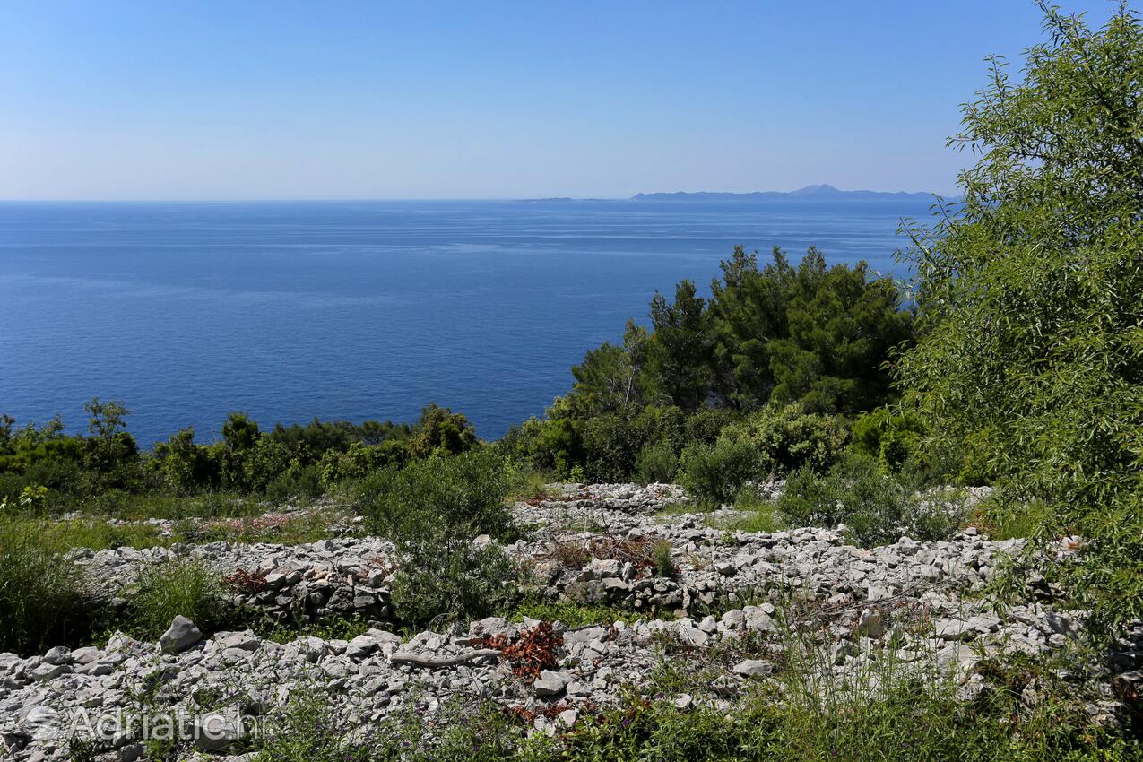 Smrč na otoku Korčula (Južna Dalmacija)