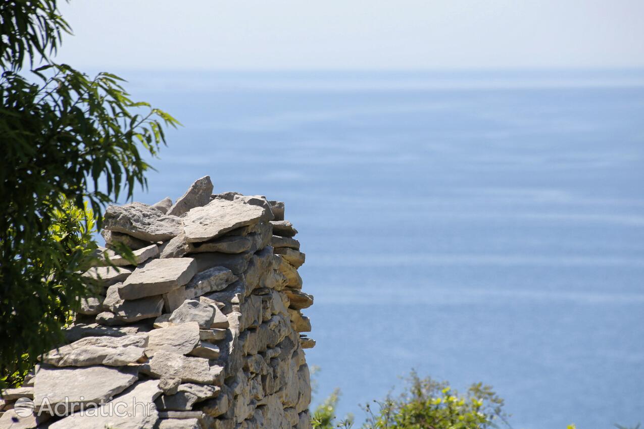 Smrč na otoku Korčula (Južna Dalmacija)