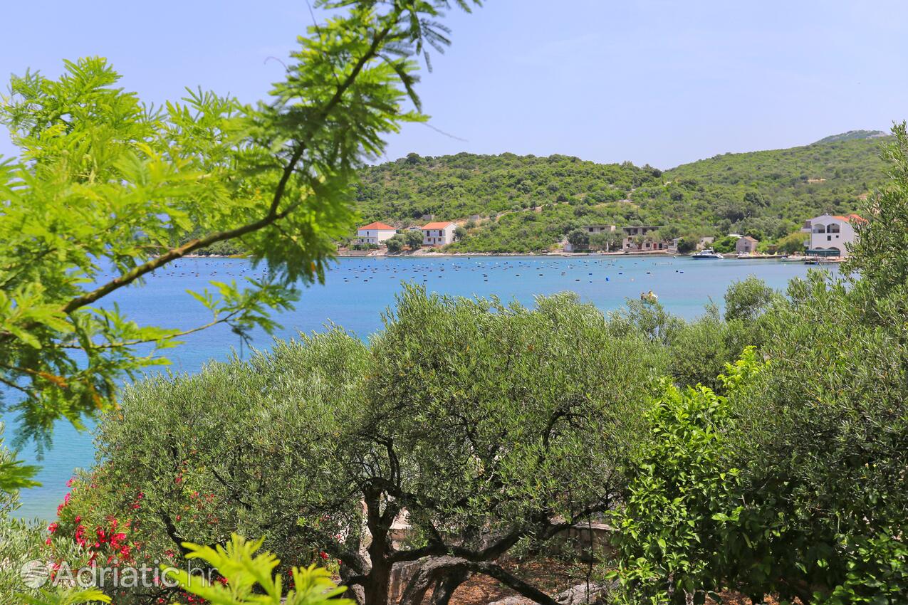 Blaževo na riviére Pelješac (Južna Dalmacija)