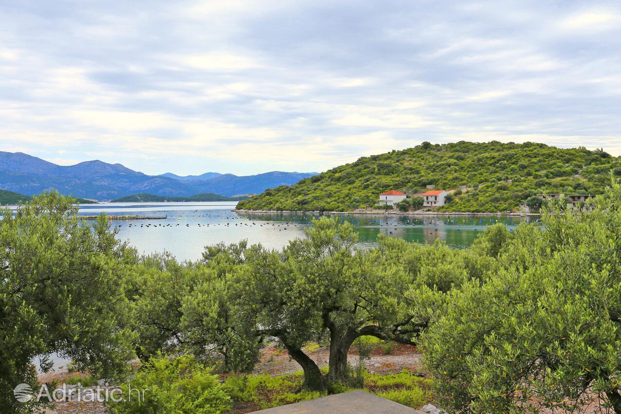 Blaževo na riviére Pelješac (Južna Dalmacija)