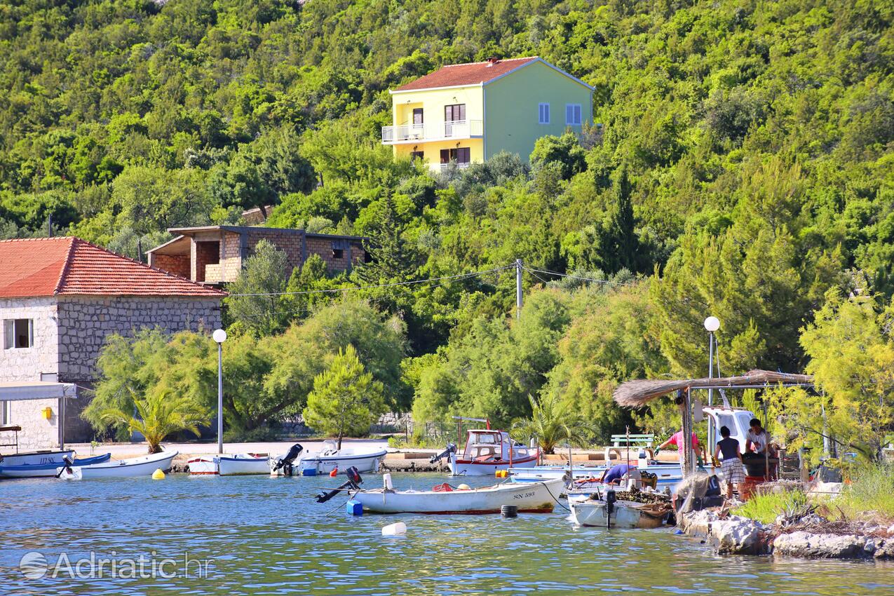 Brijesta en la ribera Pelješac (Južna Dalmacija)