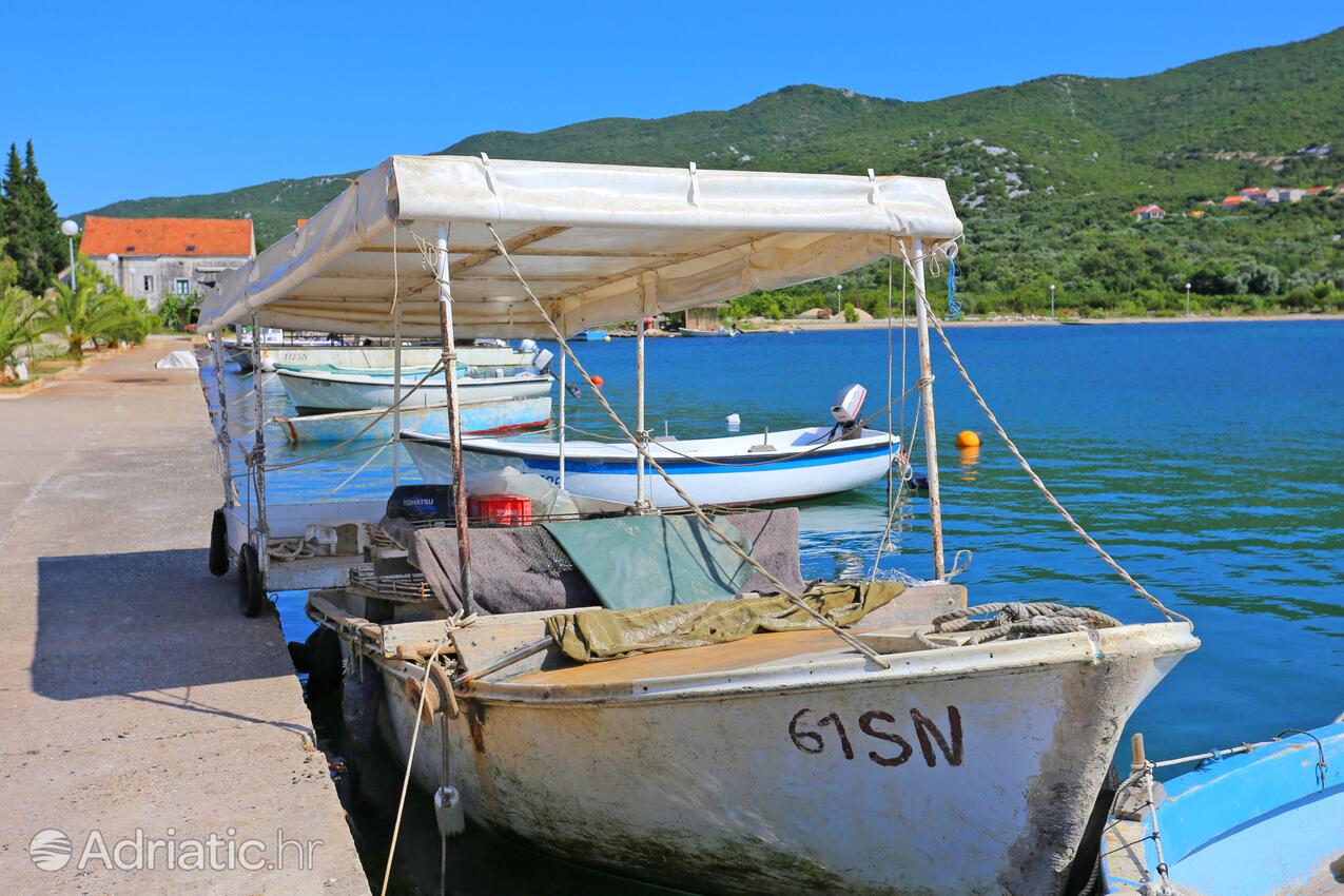 Brijesta en la ribera Pelješac (Južna Dalmacija)