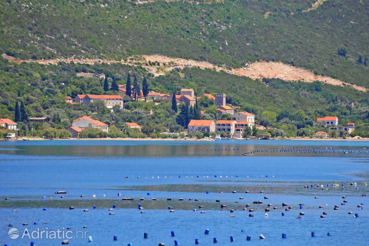 Brijesta en la ribera Pelješac (Južna Dalmacija)