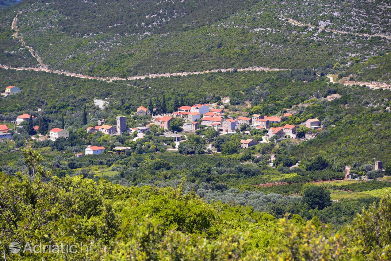 Brijesta en la ribera Pelješac (Južna Dalmacija)