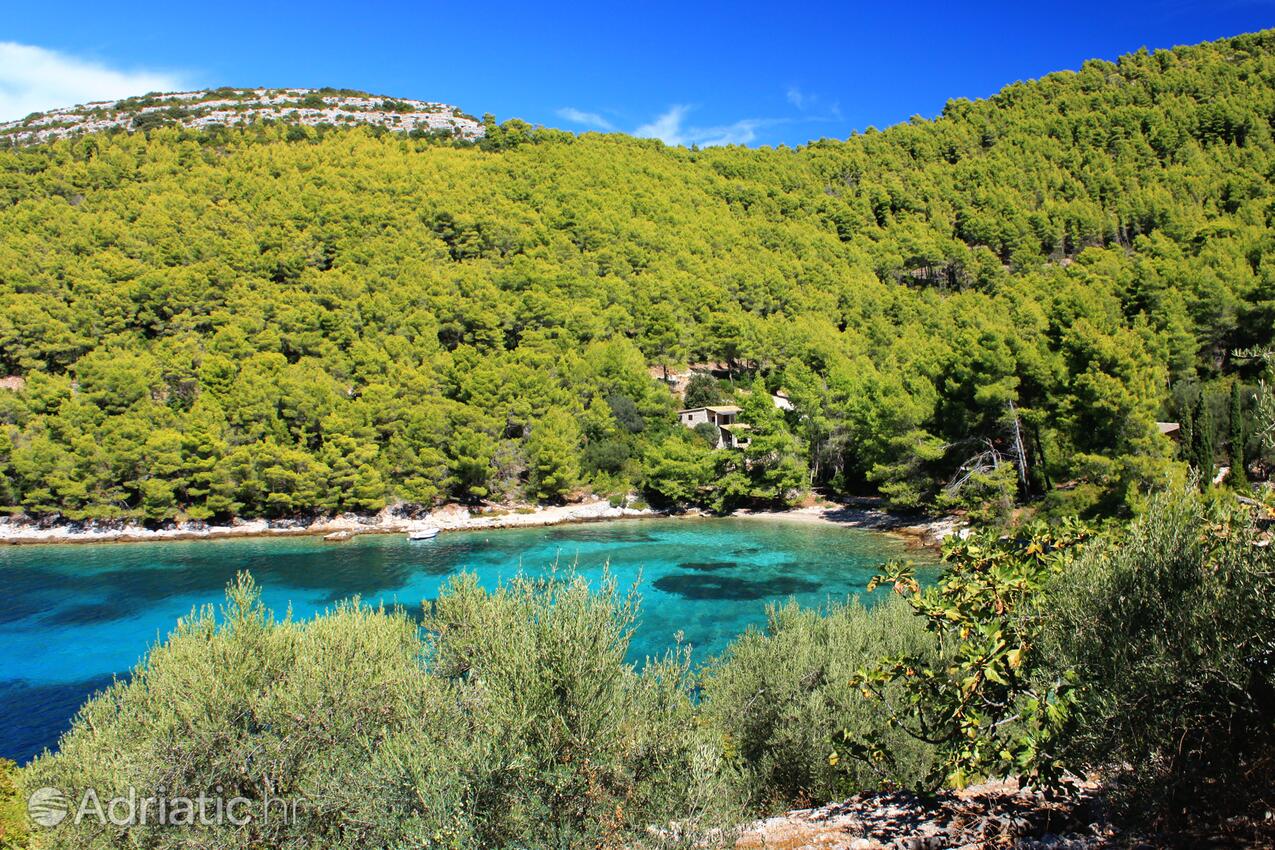 Poplat na otoku Korčula (Južna Dalmacija)