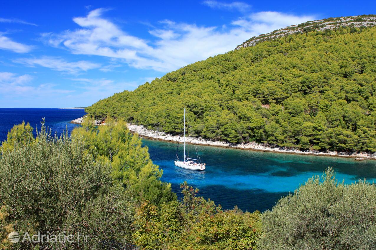 Poplat na otoku Korčula (Južna Dalmacija)