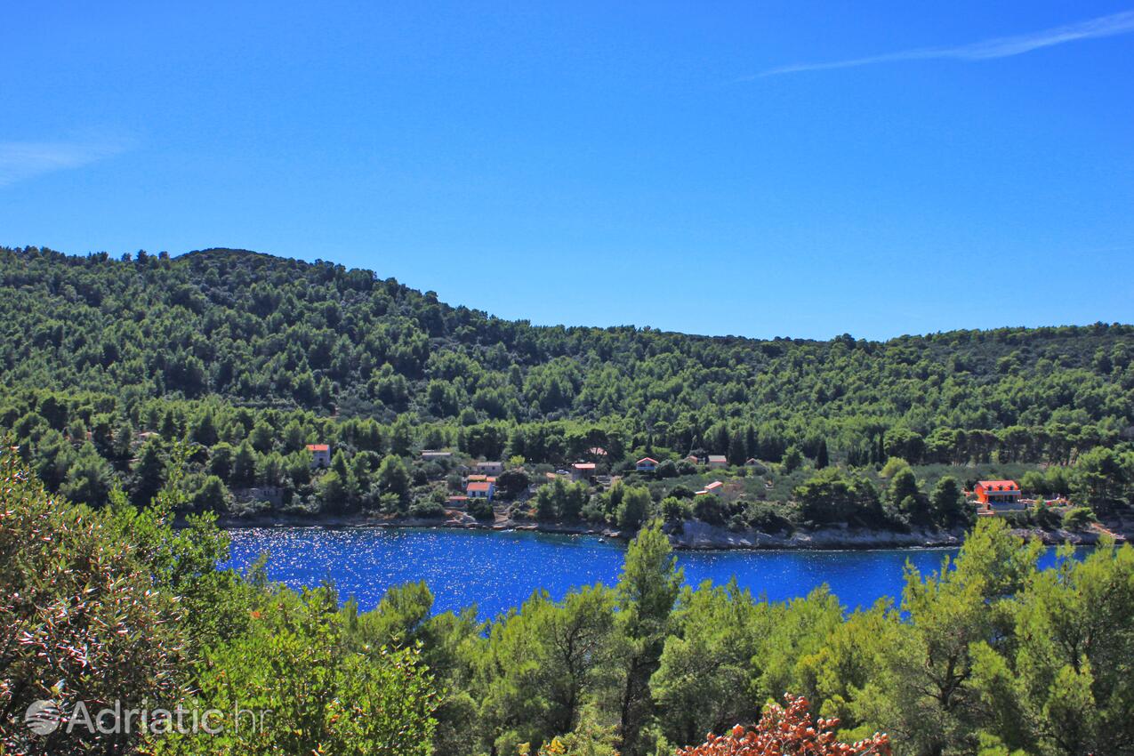 Poplat na otoku Korčula (Južna Dalmacija)