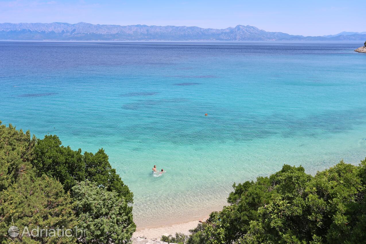 Divna na riviére Pelješac (Južna Dalmacija)