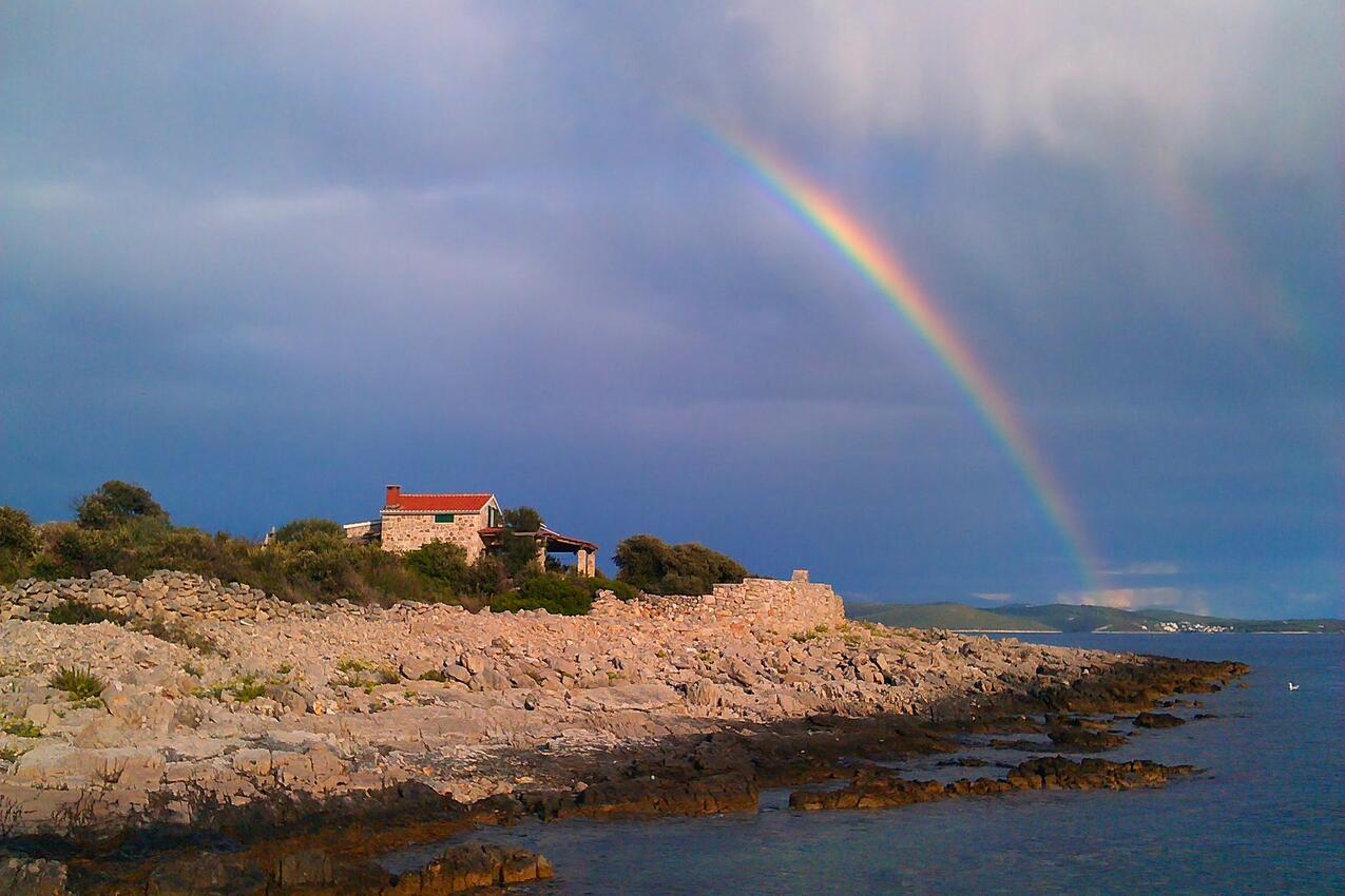 Pernatice na wyspie Drvenik (Srednja Dalmacija)