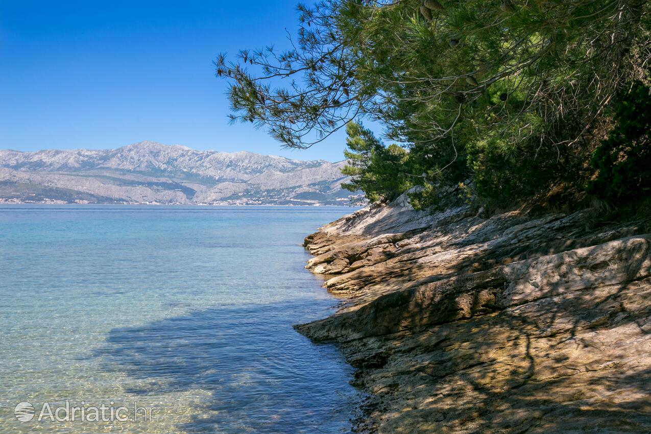 Dučac sur l’île Brač (Srednja Dalmacija)