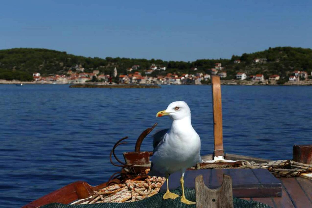 Prvić Luka on the island Prvić (Sjeverna Dalmacija)