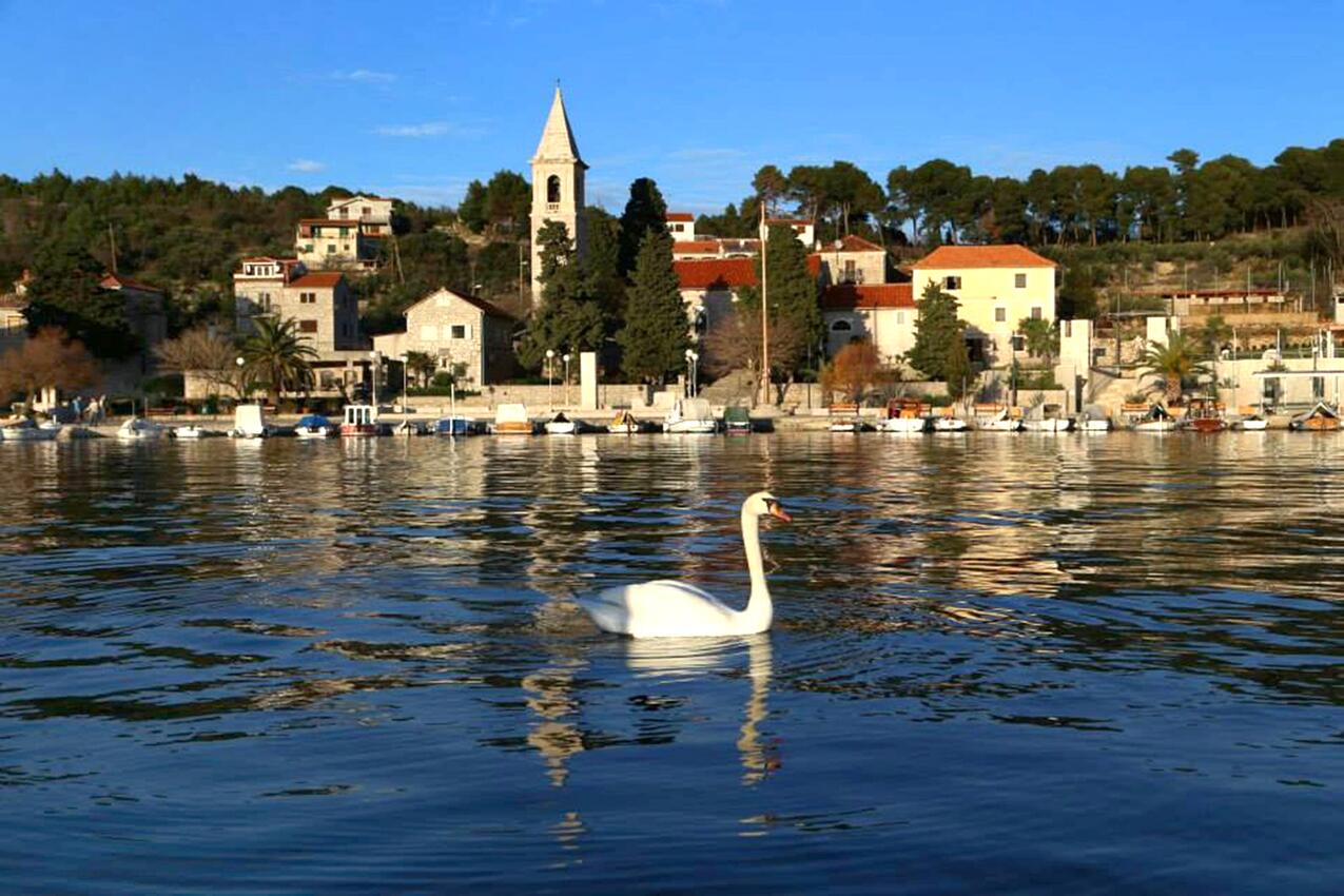 Prvić Luka on the island Prvić (Sjeverna Dalmacija)