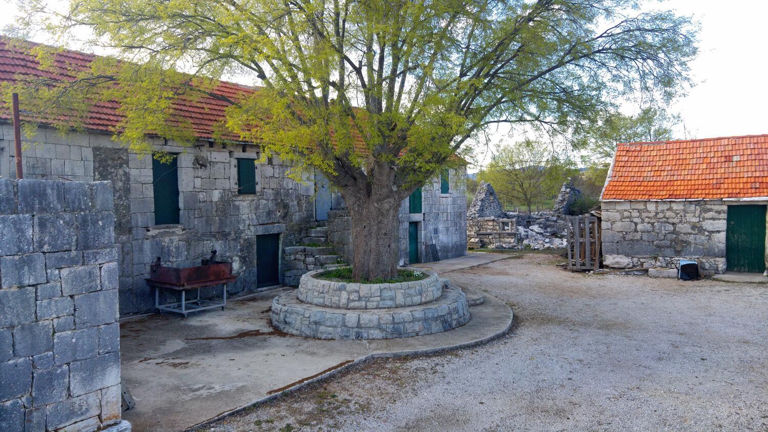 Dugobabe dans la côte Zagora (Srednja Dalmacija)