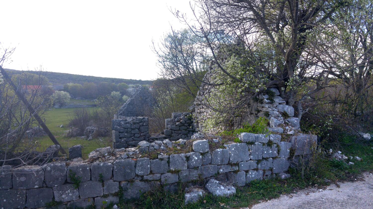 Dugobabe dans la côte Zagora (Srednja Dalmacija)