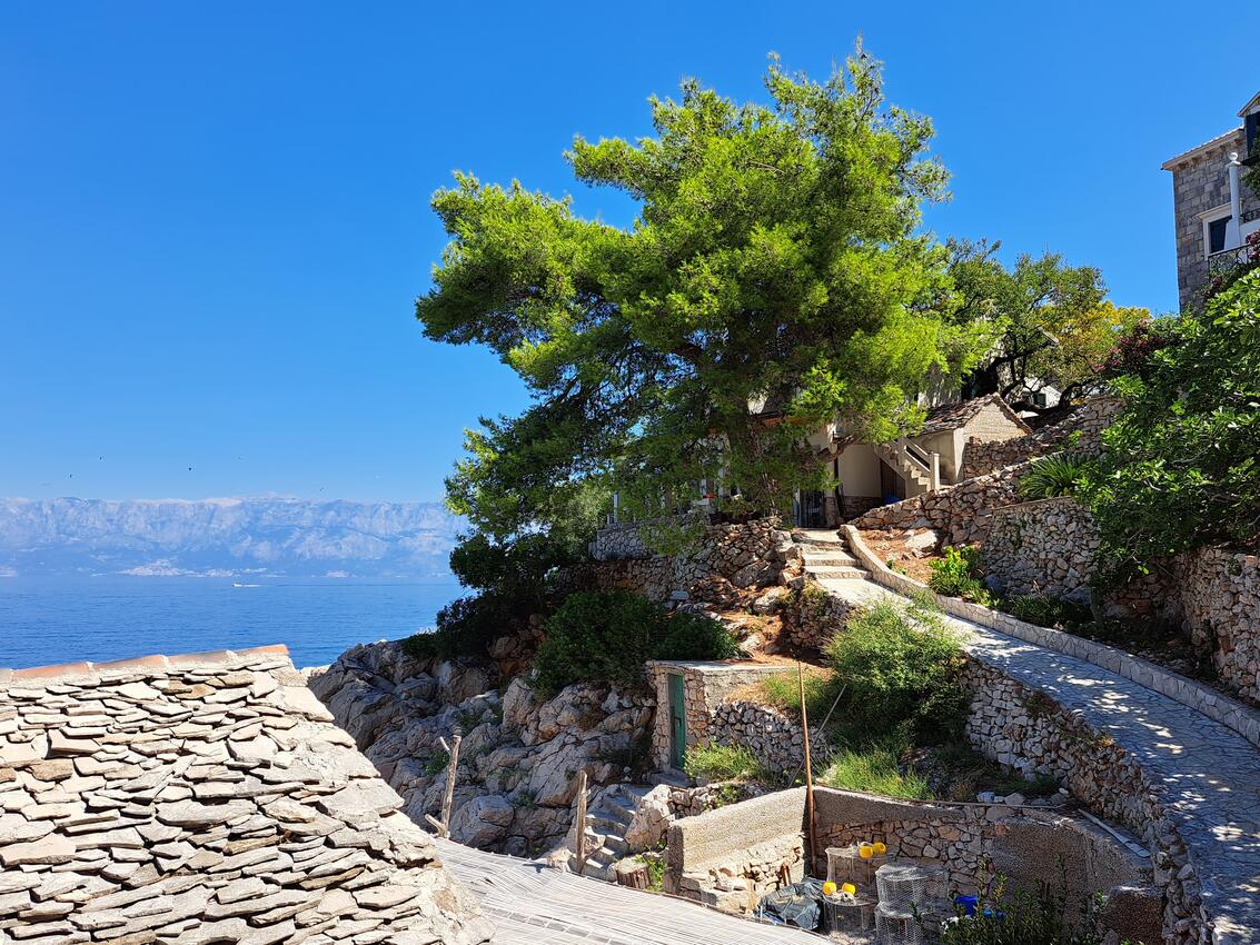 Pakomina på otoku Hvar (Srednja Dalmacija)