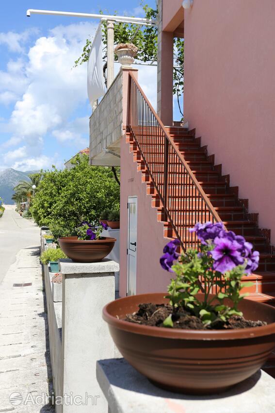 Courtyard - Apartments by the sea Žuljana, Pelješac