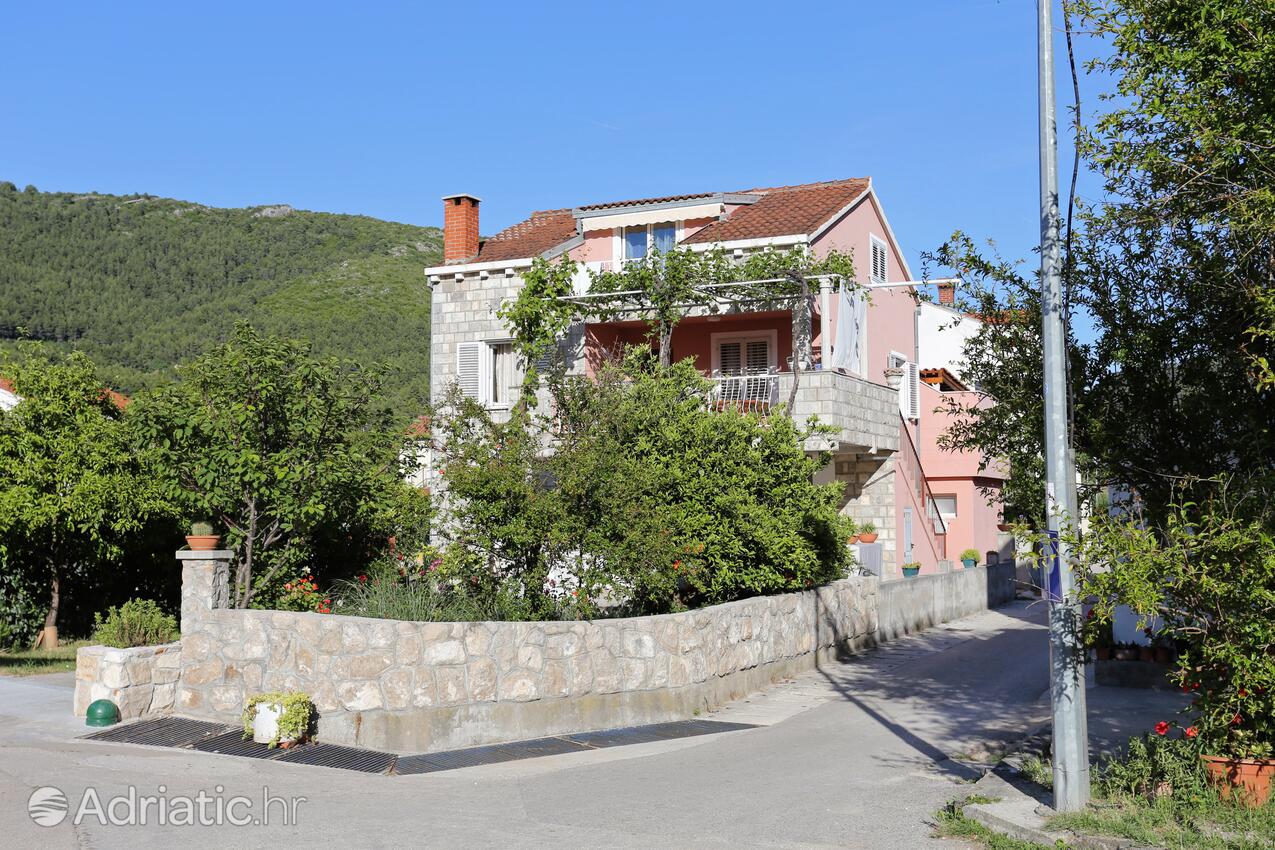 Property - Apartments by the sea Žuljana, Pelješac