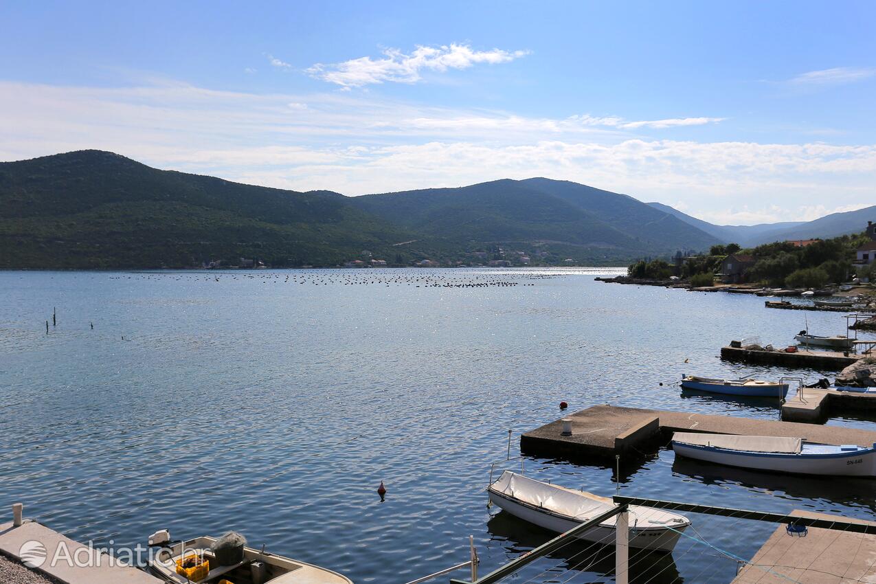 A-10123-a - Private accommodation - Apartments by the sea Žuronja, Pelješac
