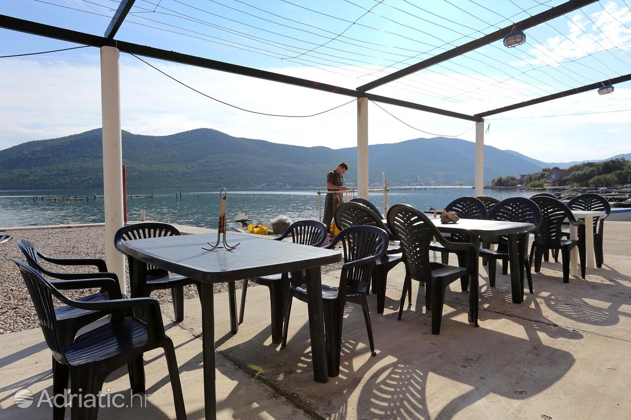 Courtyard - Apartments by the sea Žuronja, Pelješac
