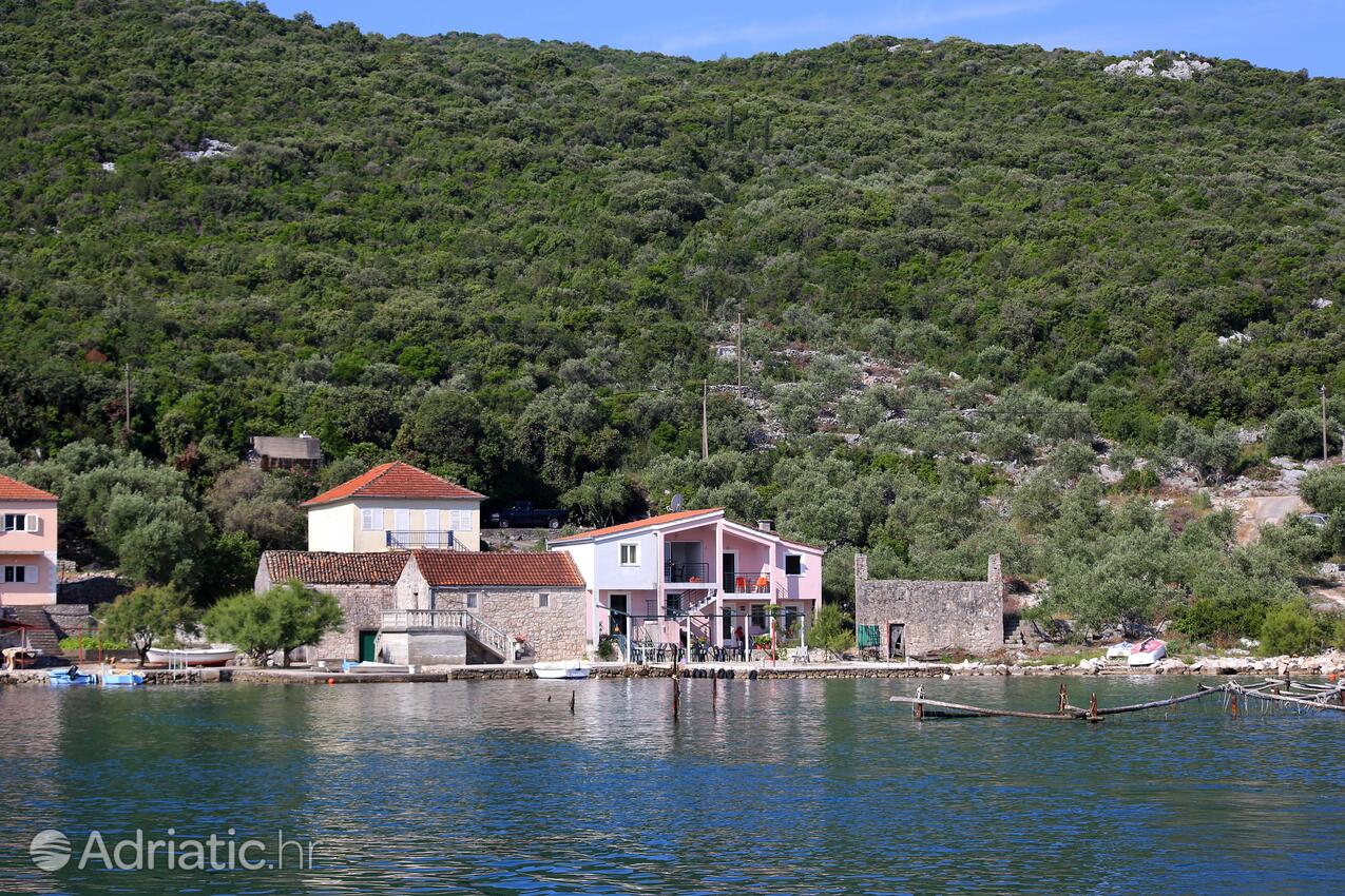 Property - Apartments by the sea Žuronja, Pelješac