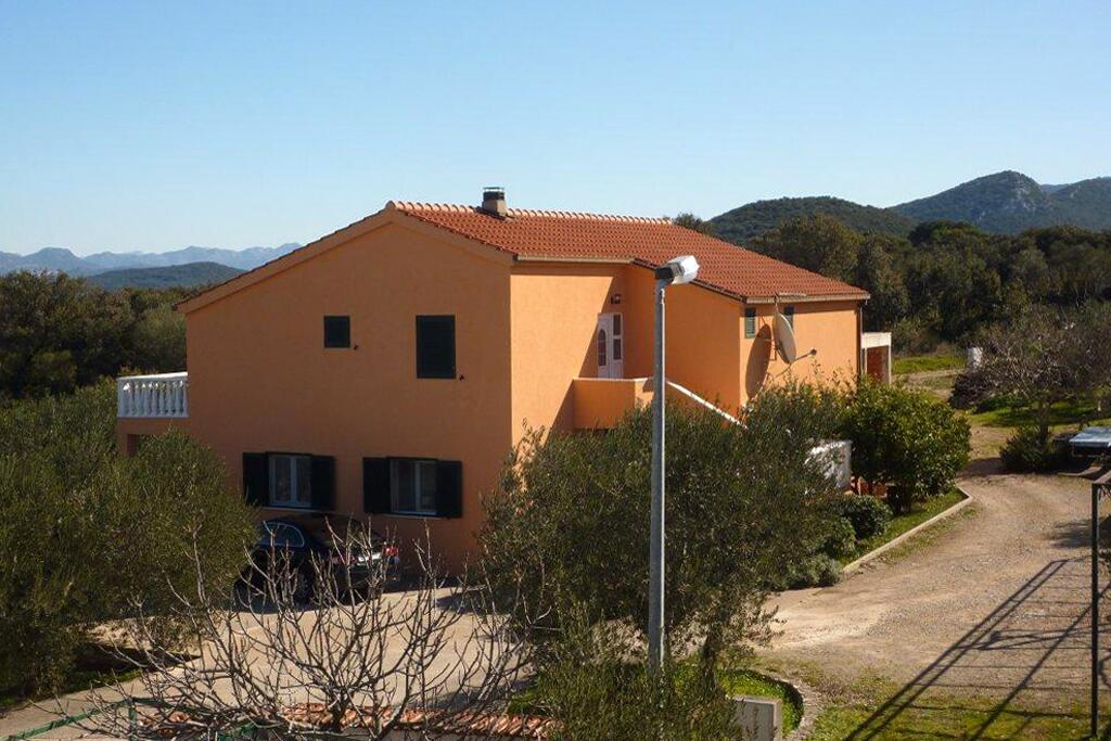Apartmaji ob morju Drače, Pelješac - 10127