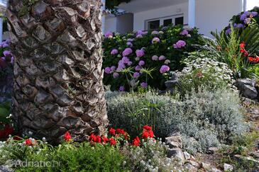 Apartamentos junto al mar Drace, Peljesac - 10130