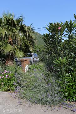 Appartamenti accanto al mare Trappano - Trpanj, Sabbioncello - Pelješac - 10136