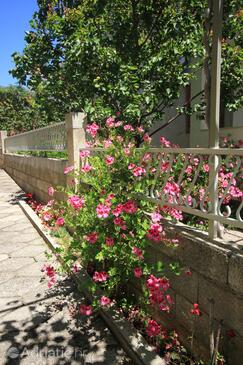 Apartmány s parkovištěm Orebić, Pelješac - 10159