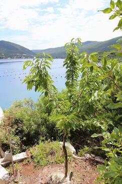 Ferienwohnungen am Meer Kabli, Peljesac - 10221