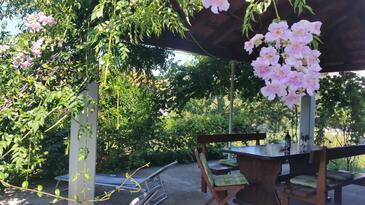 Apartments by the sea Mali Ston, Pelješac - 10226