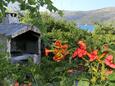 Apartments by the sea Poljica, Trogir - 10237