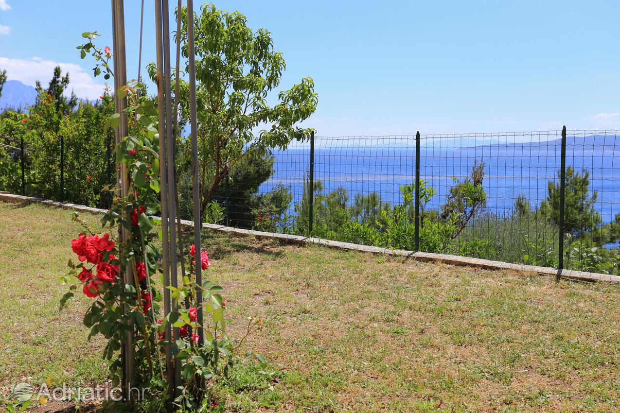 Giardino - Appartamenti accanto al mare Marussici - Marušići, Almissa - Omiš