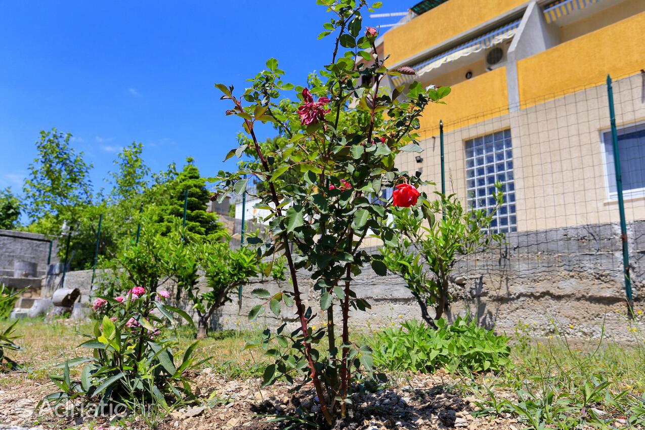 Giardino - Appartamenti accanto al mare Marussici - Marušići, Almissa - Omiš