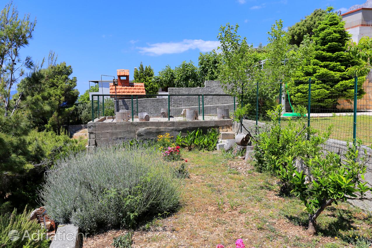 Giardino - Appartamenti accanto al mare Marussici - Marušići, Almissa - Omiš