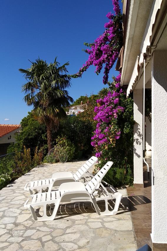 A-1040-a - Private accommodation - Apartments by the sea Marušići, Omiš