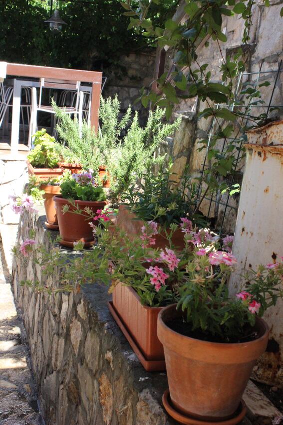 Courtyard - Apartments by the sea Marušići, Omiš