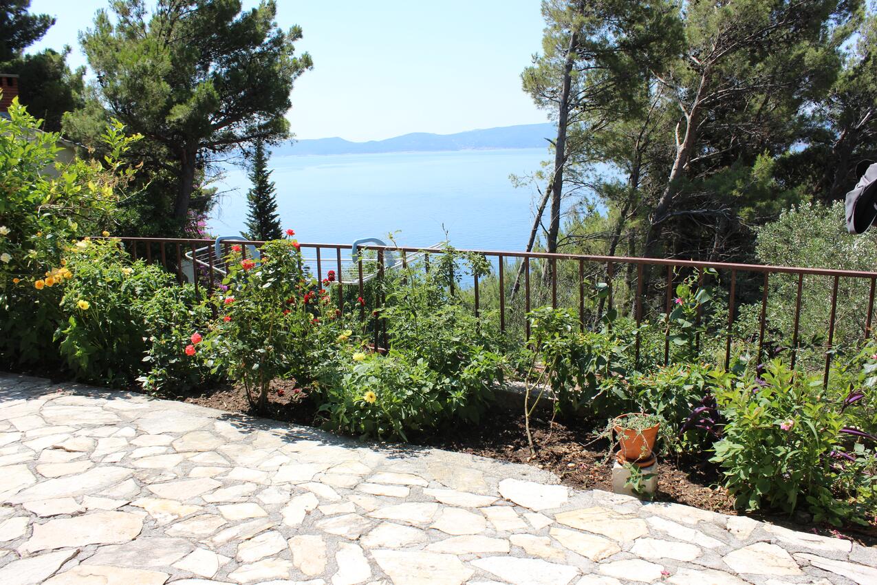 Courtyard - Apartments by the sea Marušići, Omiš
