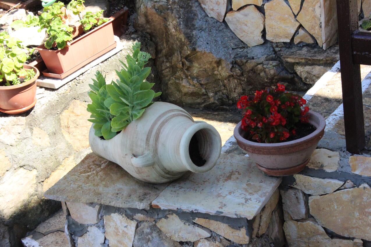 Courtyard - Apartments by the sea Marušići, Omiš