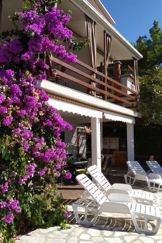 Property - Apartments by the sea Marušići, Omiš