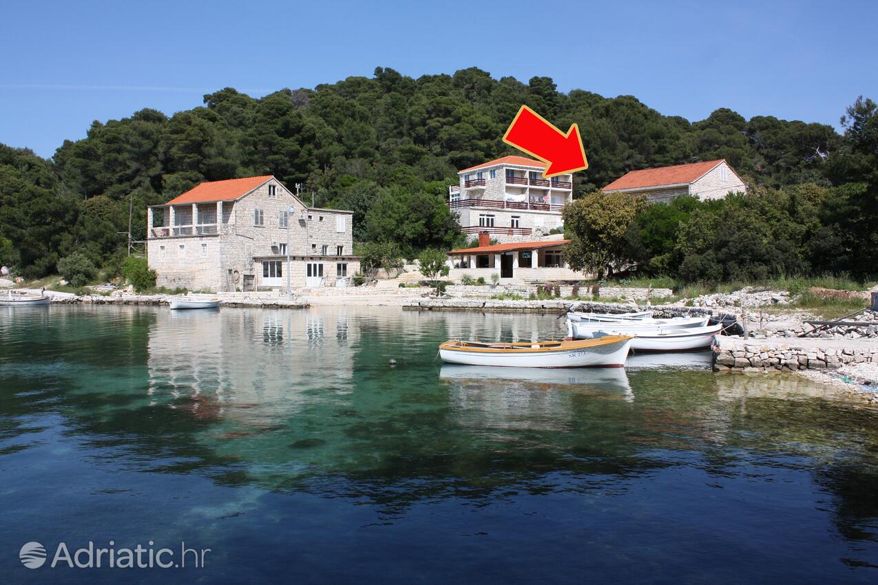 Leiligheter ved sjøen Pomena, Mljet - 10426