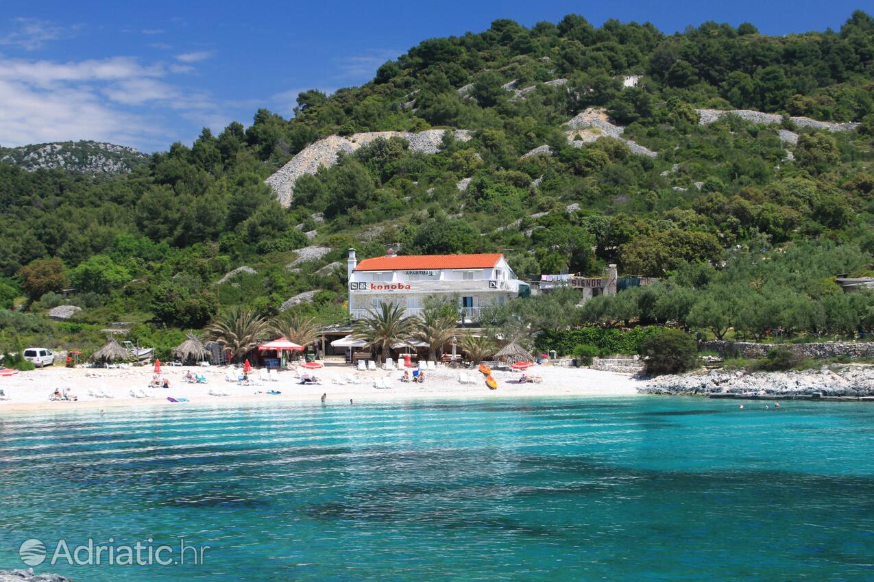 Apartments by the sea Hvar - 10430