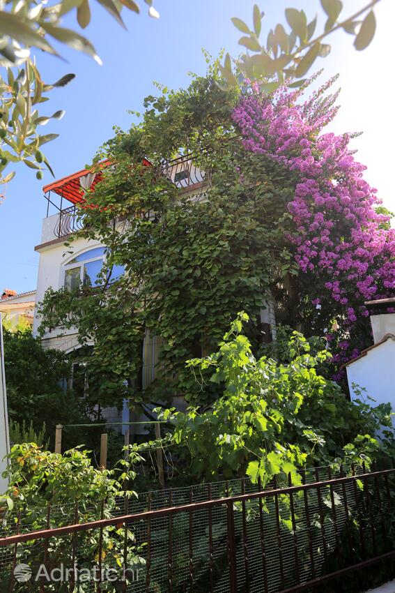Property - Apartments by the sea Okrug Gornji, Čiovo