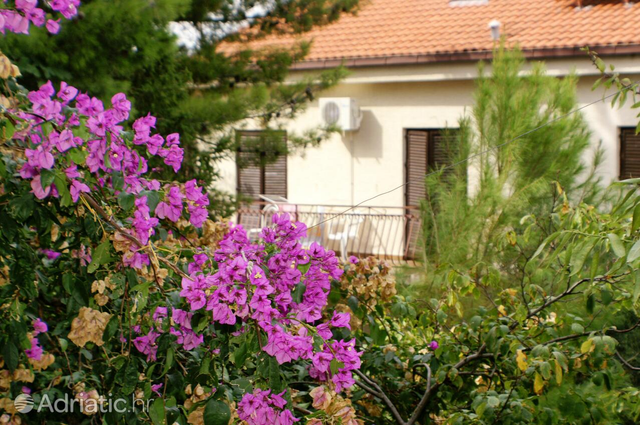 K-1074 - Privat indkvartering - Feriehus ved havet Seget Vranjica, Trogir