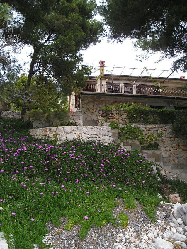 Courtyard - Apartments by the sea Prižba, Korčula