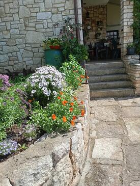 Lejlighedens parkeringsplads Liznjan, Medulin - 11152