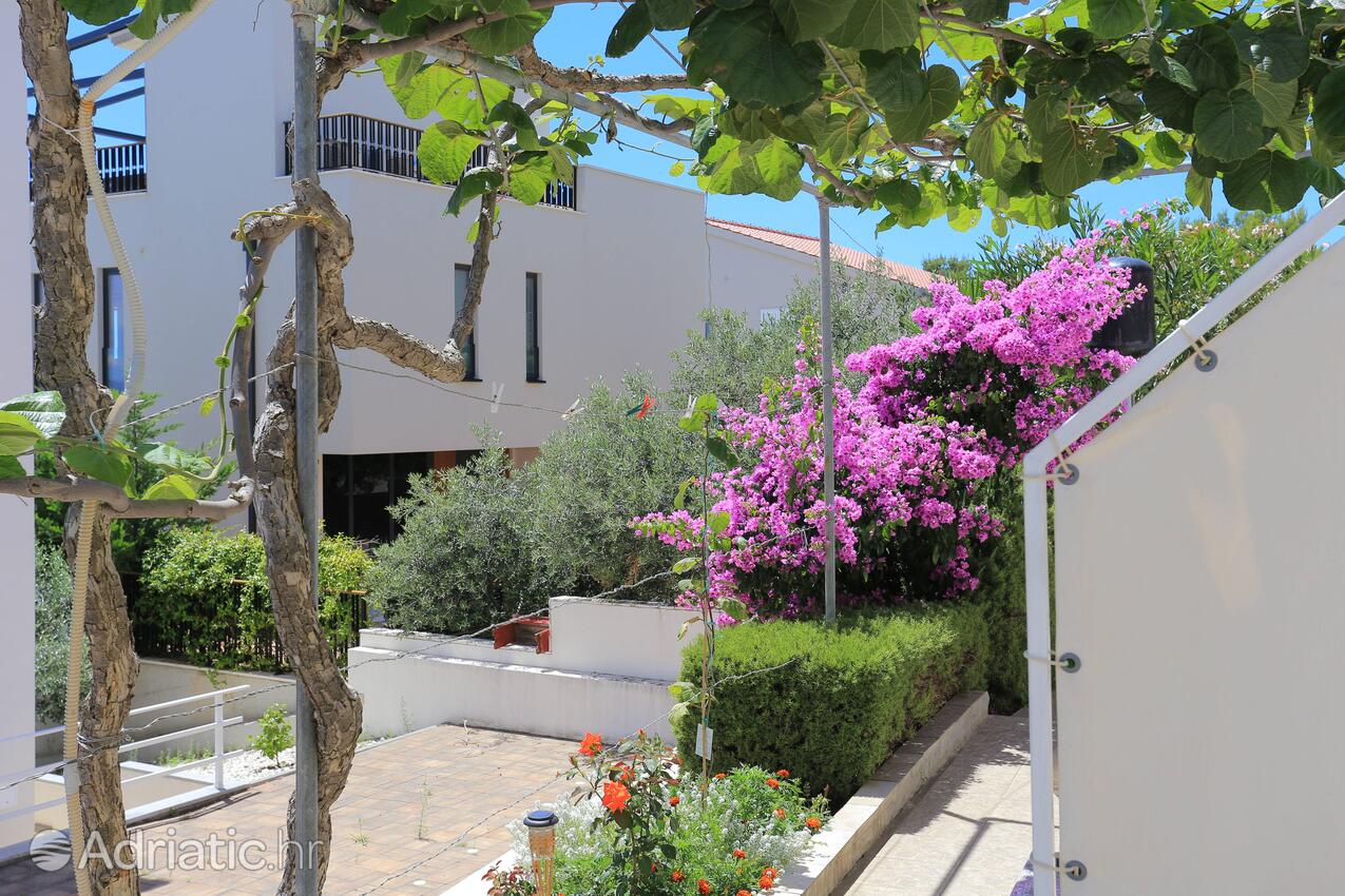 AS-11232-b - Private accommodation - Family friendly apartments with a swimming pool Bušinci, Čiovo