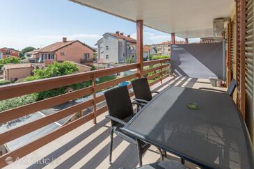 Family-friendly apartments with swimming pool Novigrad - 11242